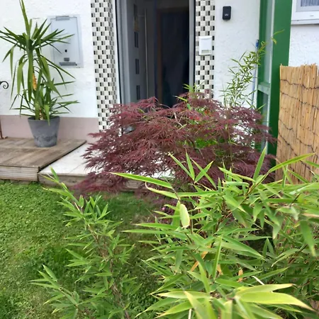 Aigner * 라이스바크